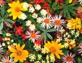Transportation and trade of sut flowers